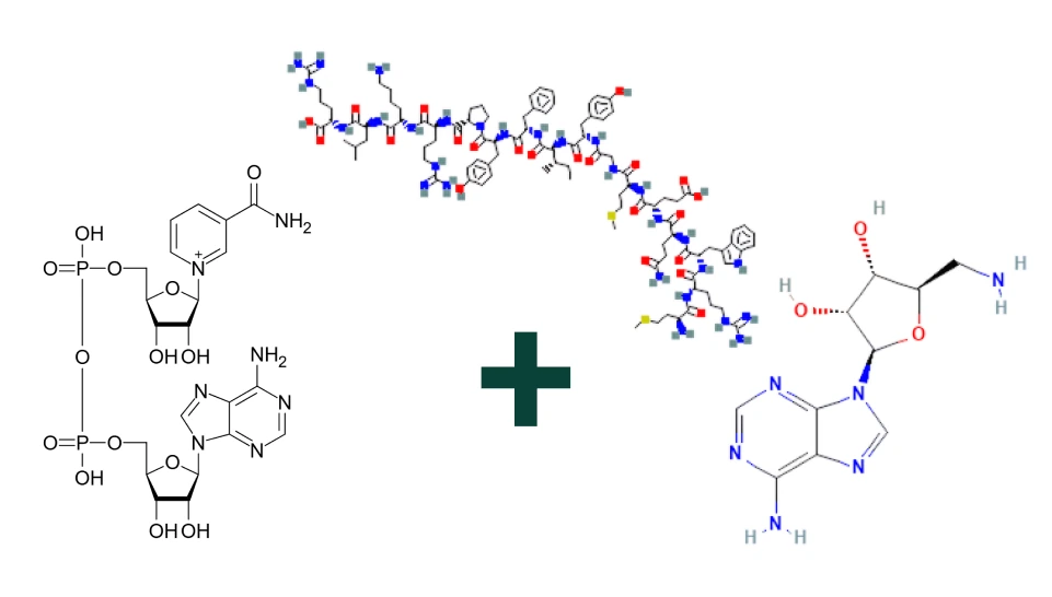 NAD MOTS-c 5-Amino-1MQ product struct