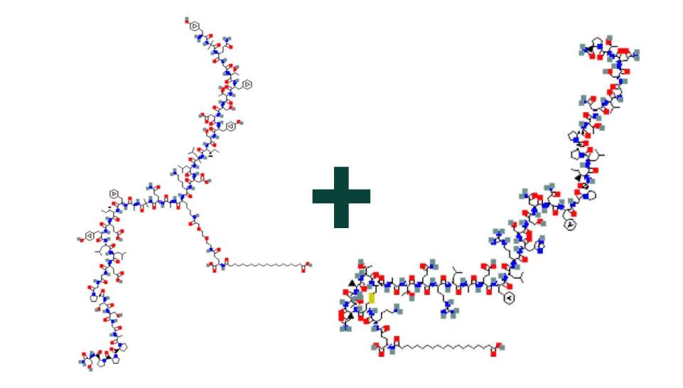 Retatrutide Cagrilintide product struct